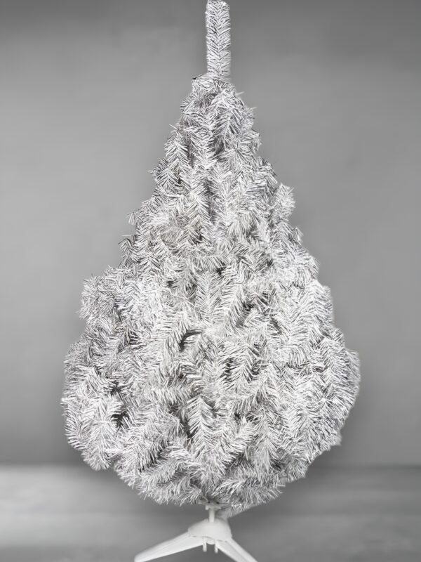 Elegance -fotor-enhance-20251114135812 Elegance