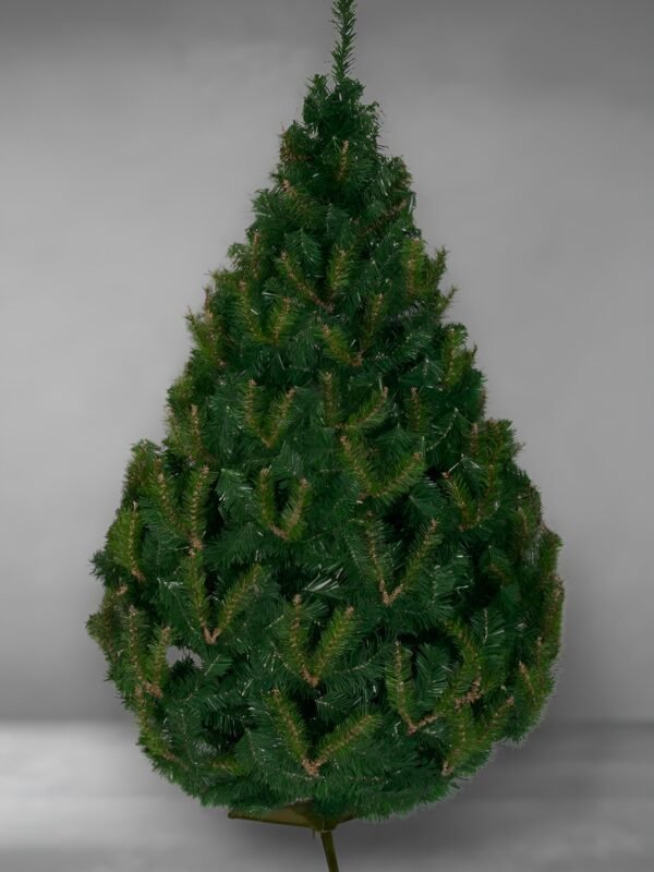 Magno-fotor-enhance-20251114135703 Magno