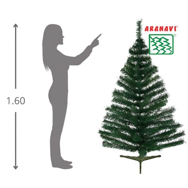 Montaje Clásico-fotor-enhance-20251125191053 Clásico