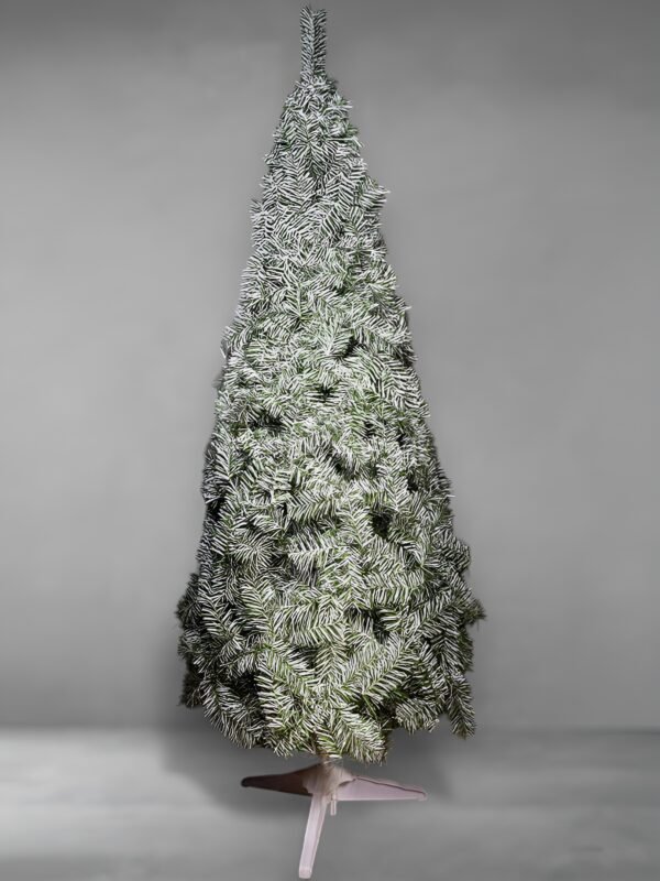 Nordico blanco-fotor-enhance-20251114135619 Nórdico