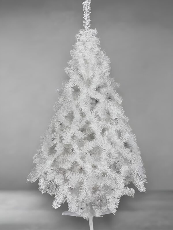 Noruego blanco-fotor-enhance-20251114135336 Noruego