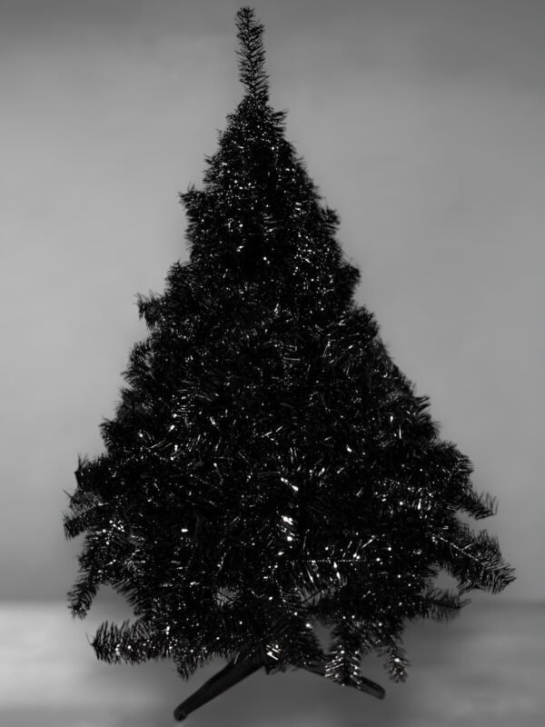 Noruego especial negro-fotor-enhance-20251114135114 Noruego Especial