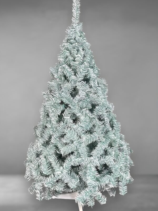 Noruego especial polar-fotor-enhance-20251114134914 Noruego Especial