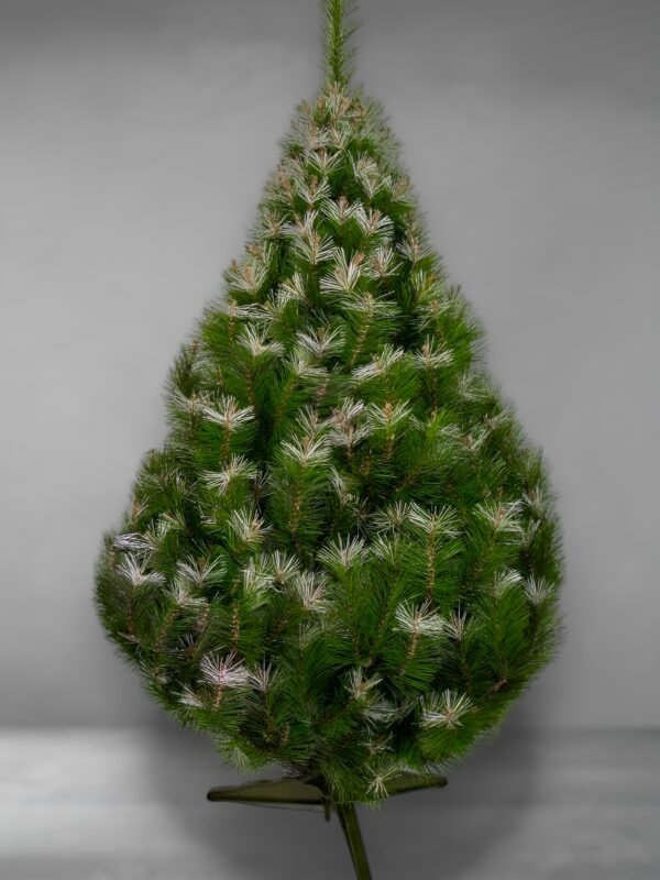 Yukón puntas blancas-fotor-enhance-20251114134238 Yukón clásico