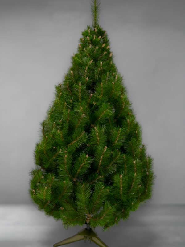 Yukón verde-fotor-enhance-20251114134121 Yukón clásico